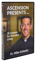 Ascension Presents Fr. Mike Schmitz DVD